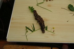 DSC02073