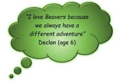 beaver-quote1