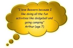 beaver-quote2