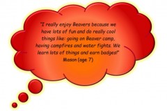 beaver-quote4