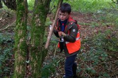 IMG_20171007_110852348