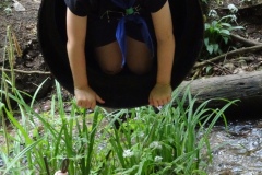 DSC01934