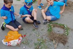 robinswood_03-e1559487899366